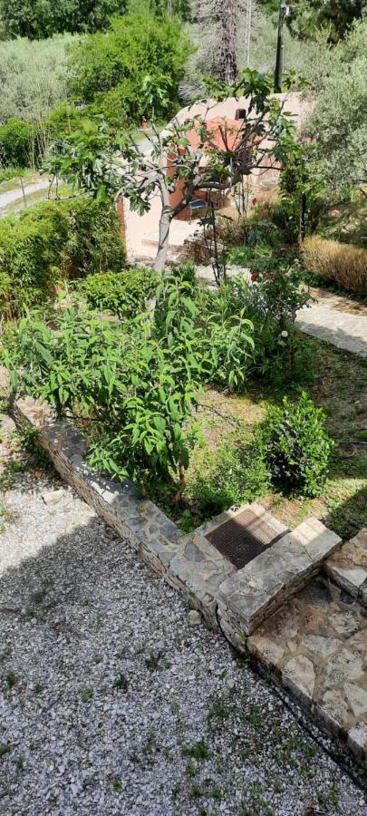 Maison Provence Avec Piscine Privative Ньон Екстериор снимка